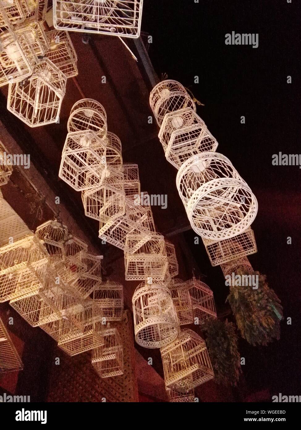Hanging bird cages hires stock photography and images Alamy