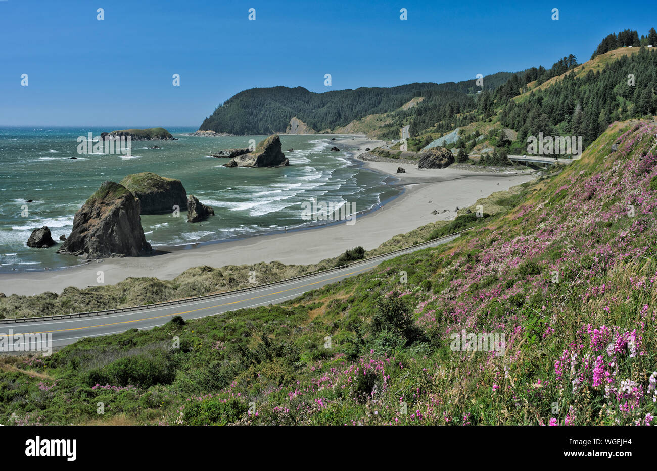The Pacific Coast Scenic Byway (US 101) passes beaches and sea stacks