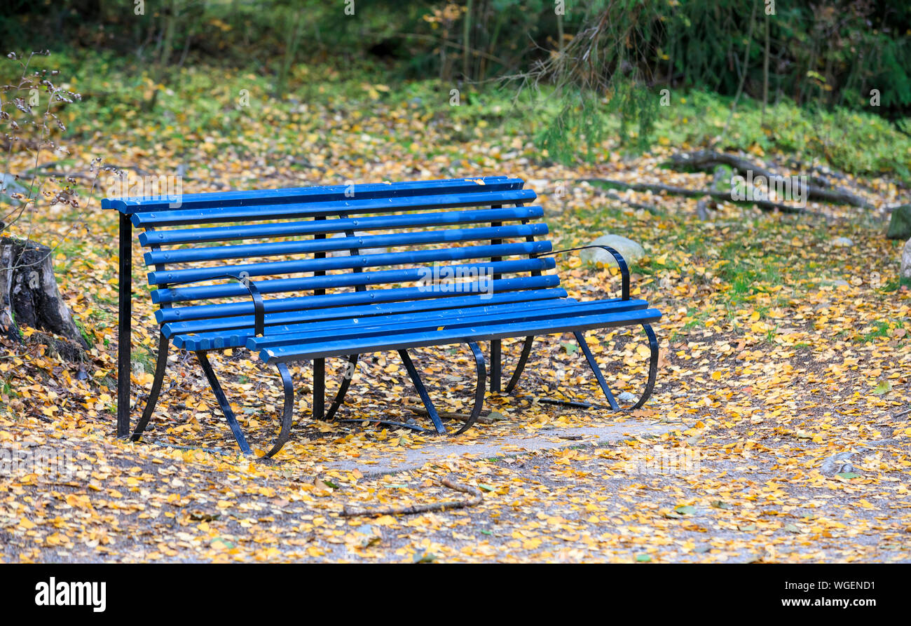 Large Blue Bench Surrounded By Fallen Tree Leaves Stock Photo