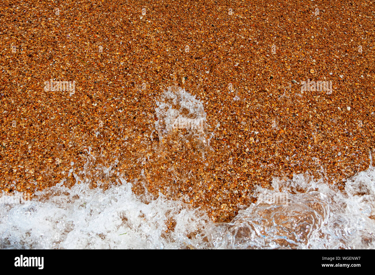 Rushes background summer nature hi-res stock photography and images - Alamy