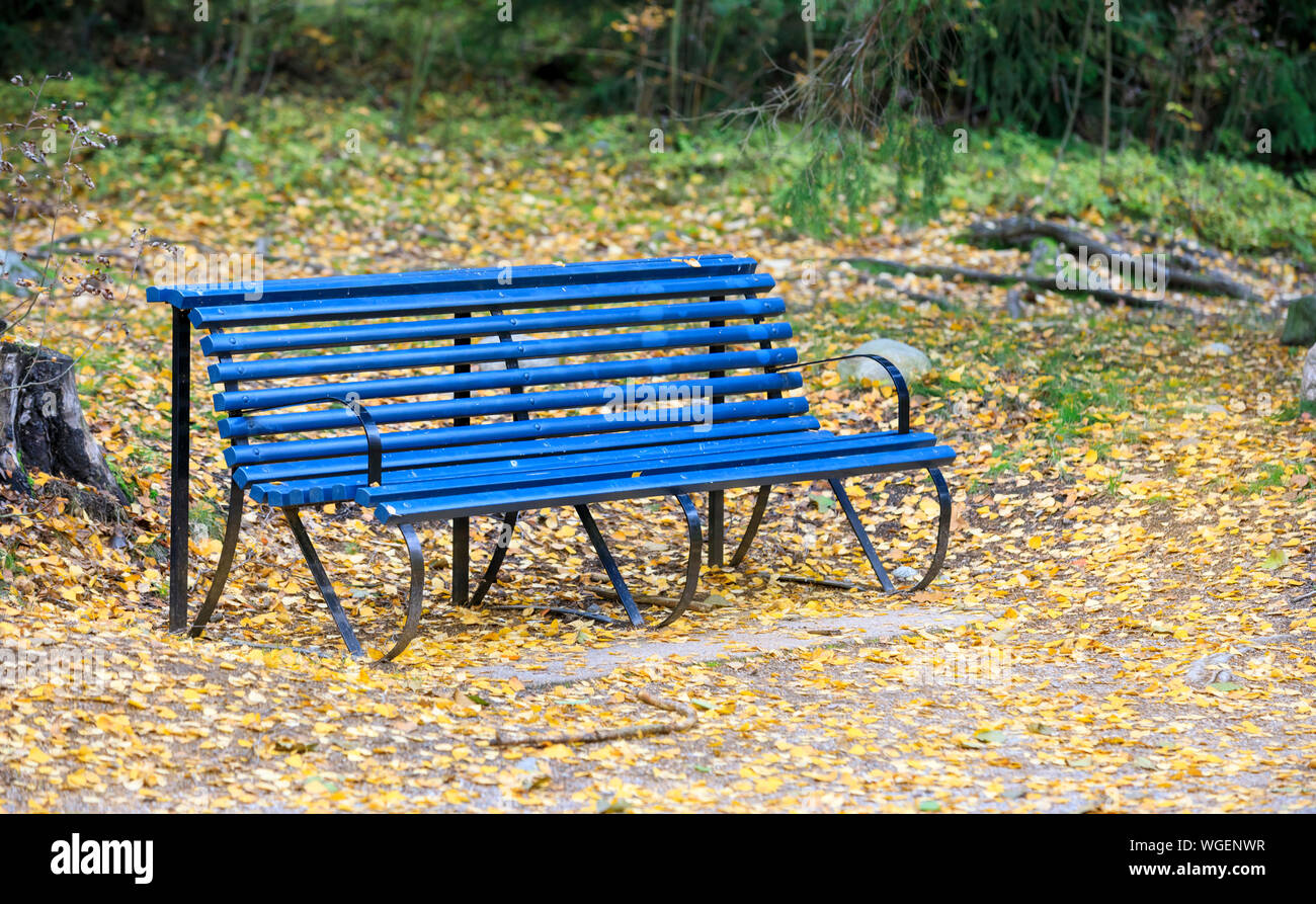 Large blue bench surrounded by fallen tree leaves Stock Photo