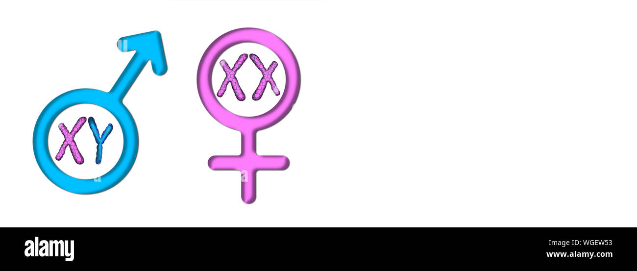 Colored graphics with white background symbolizing male and female with X and Y chromosomes Stock Photo