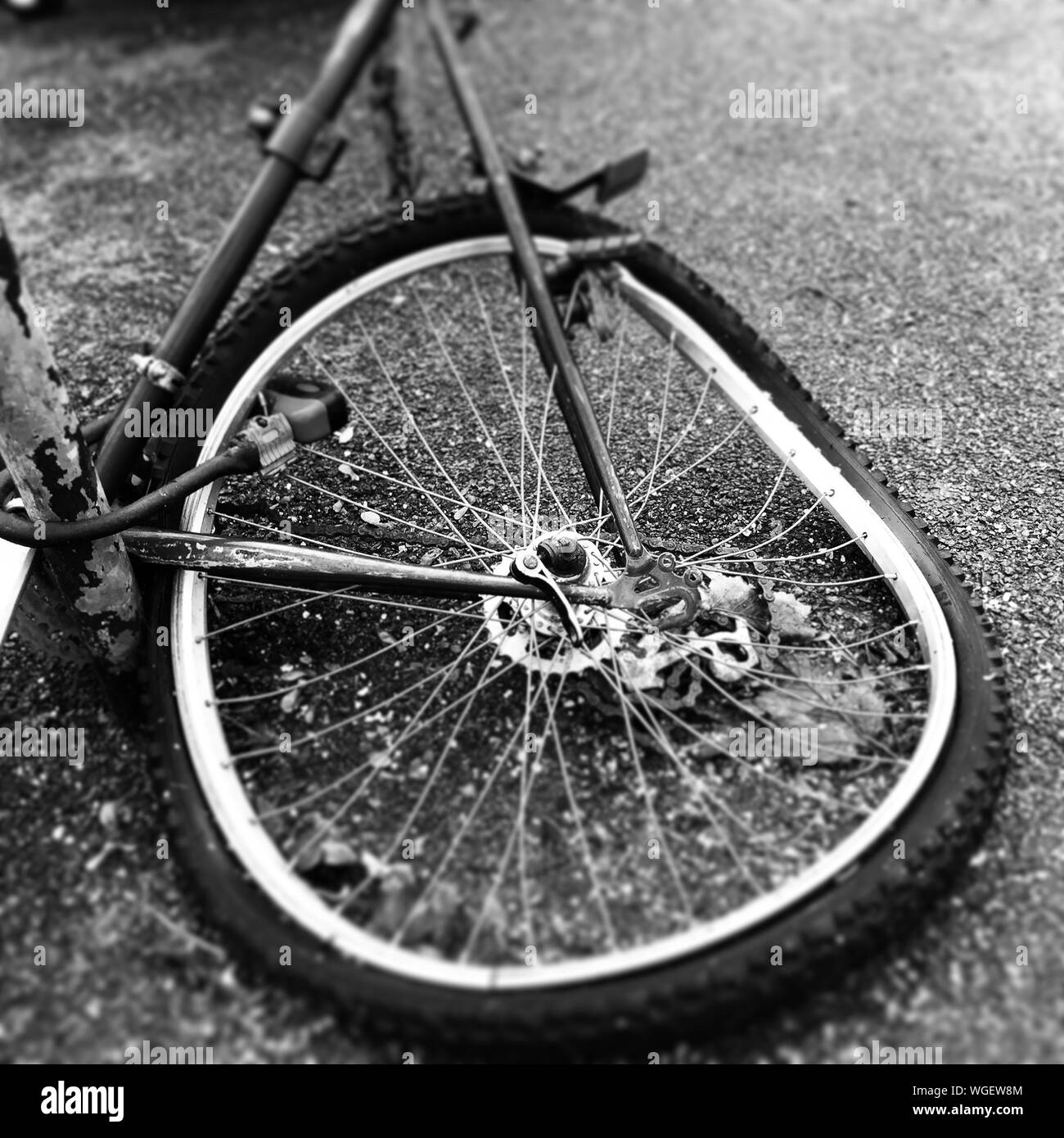 Damaged Tire High Resolution Stock Photography and Images Alamy