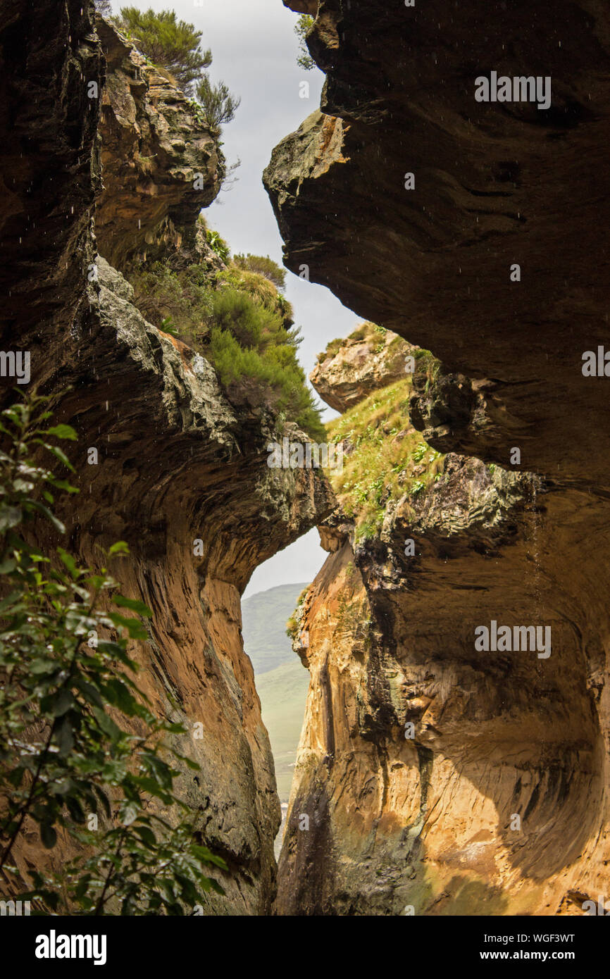 Within Eco ravine, a slot canyon, directly after a storm, looking up at the sun coming through the top, photographed at Golden Gate Park, South Africa Stock Photo