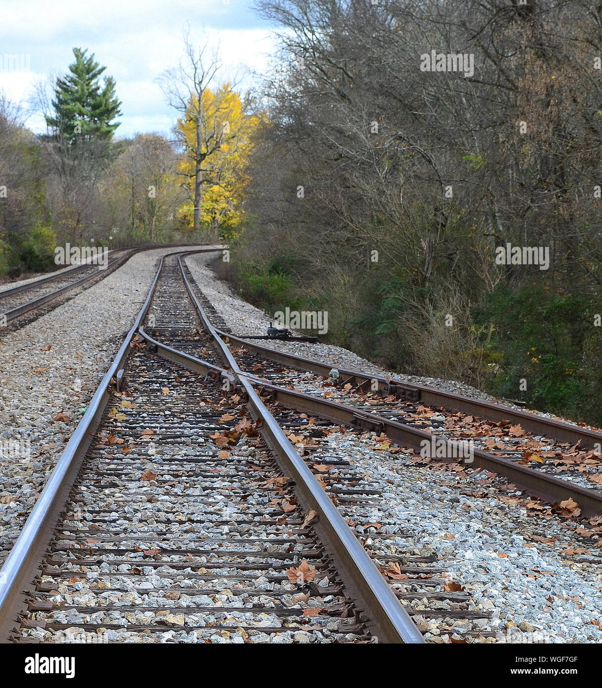 Railroad Tracks On Field Amidst Trees Stock Photo