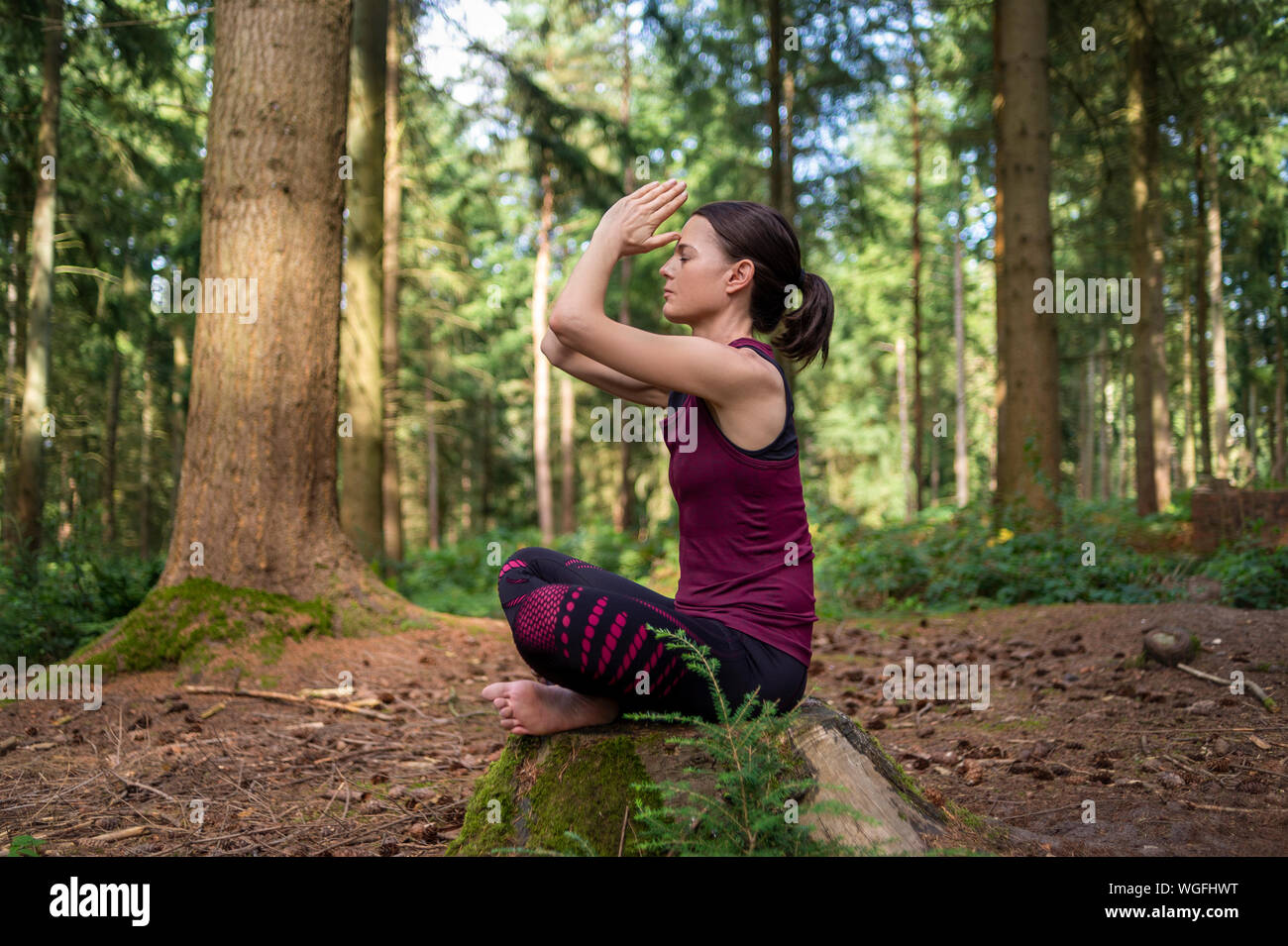 woman sitting on a tree stump in a forest meditating, practicing yoga. Stock Photo