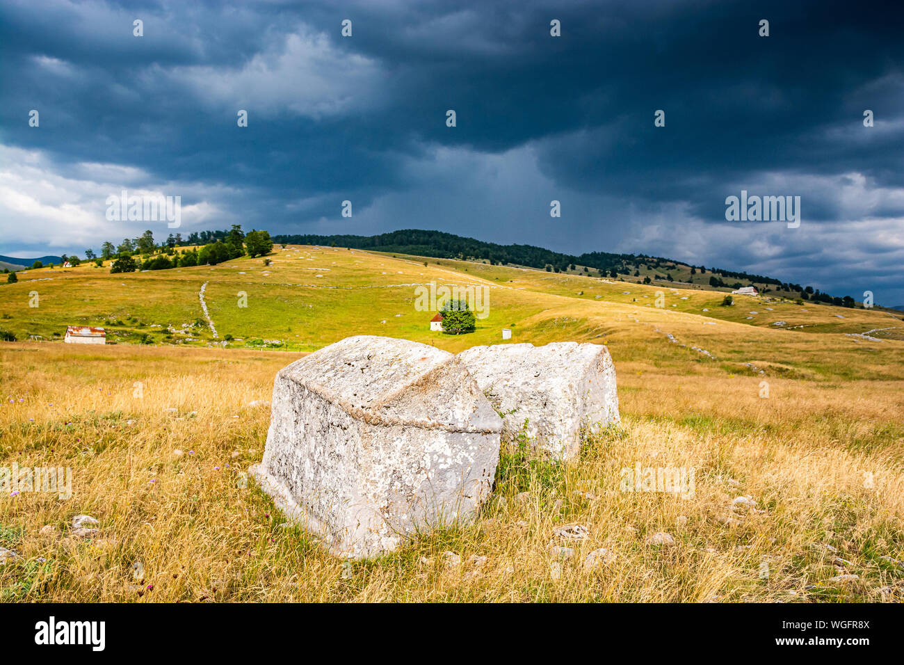 Old tombstones - Stecci Bosanskih bogumila - near Vrdolje on the way to Lukomir, Bosnia and Herzegovina Stock Photo