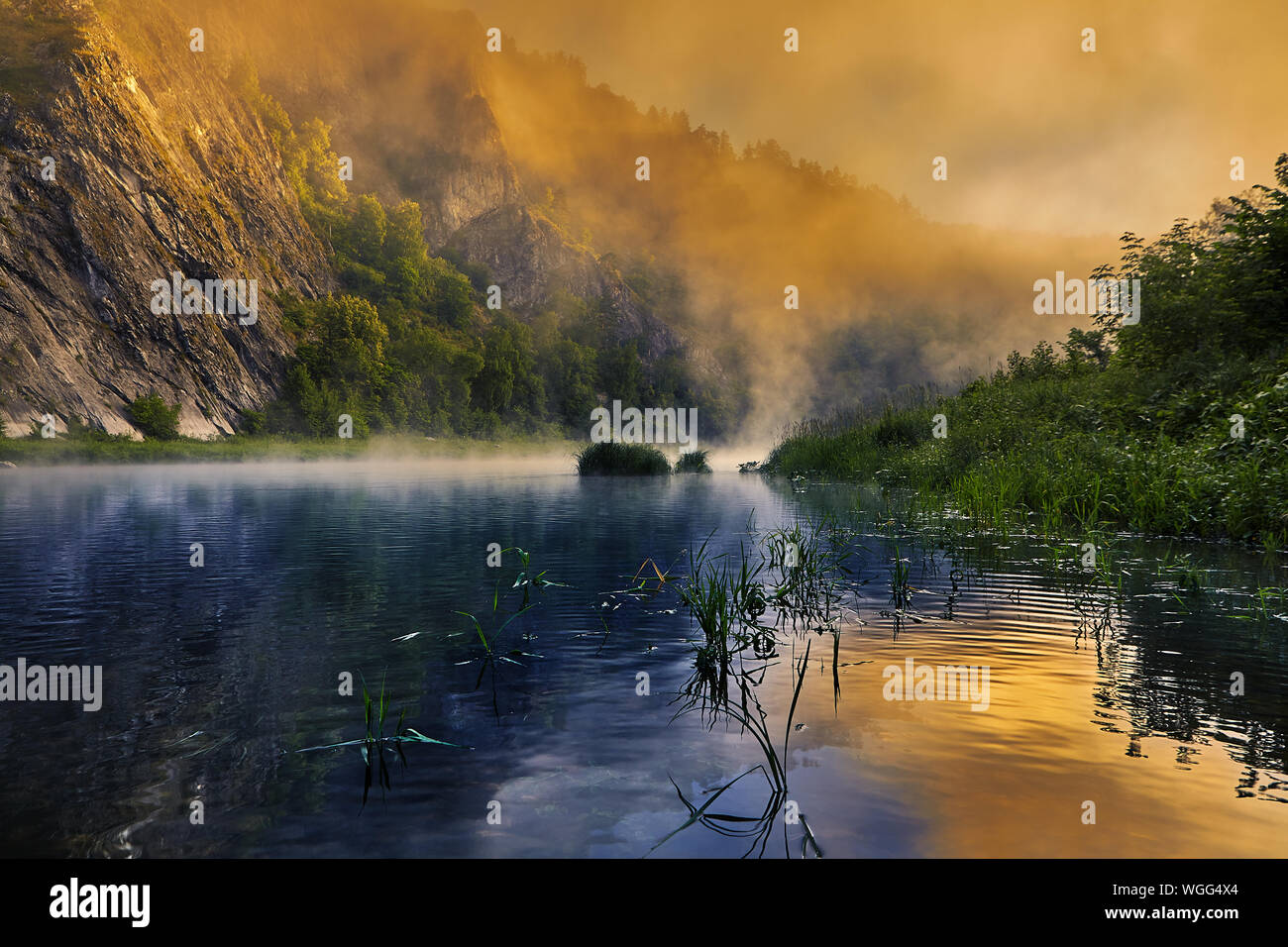 The sun painted the morning fog over the river in bright colors. Stock Photo