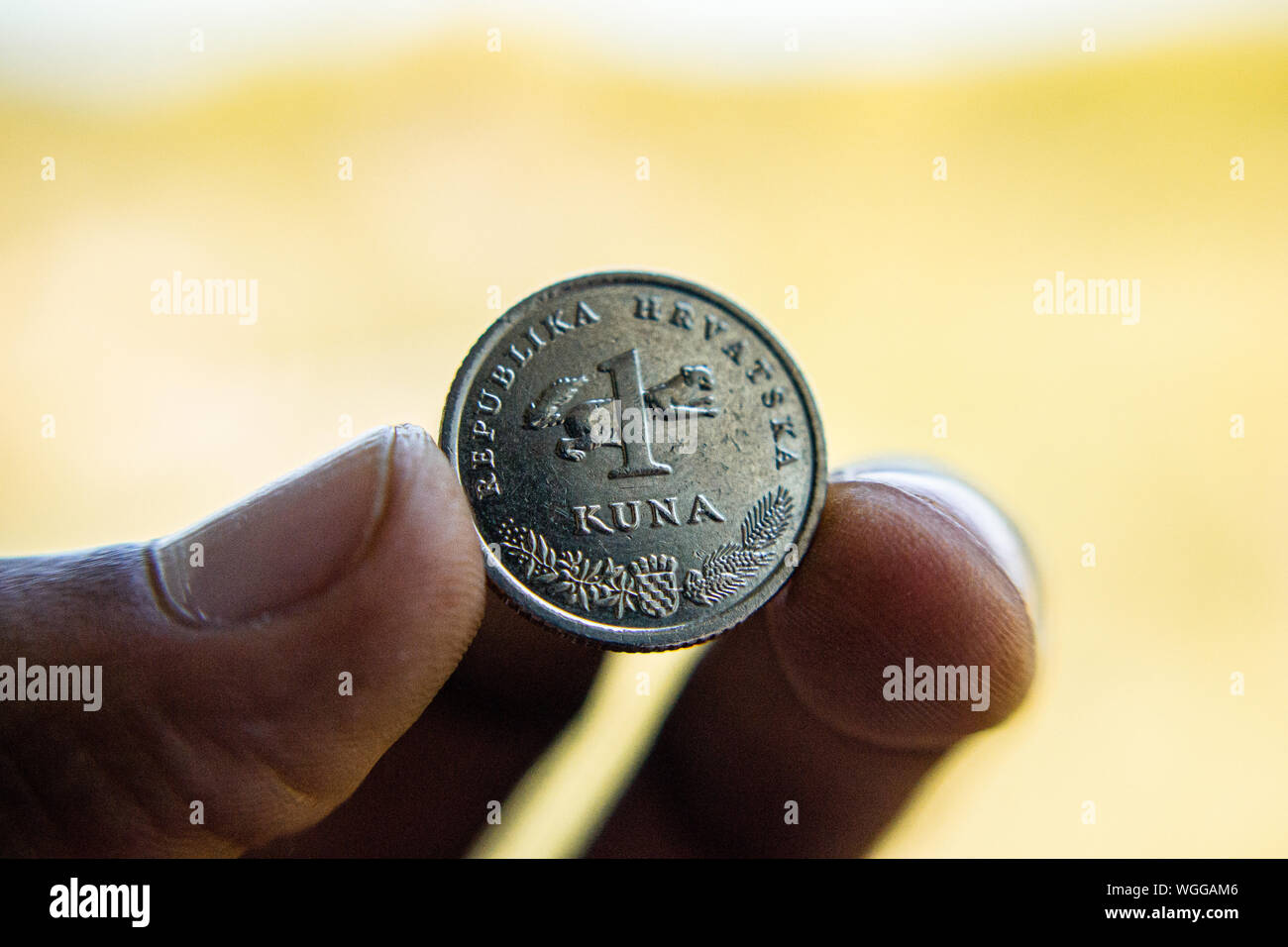 Plants in direct sunlight Stock Photo Alamy