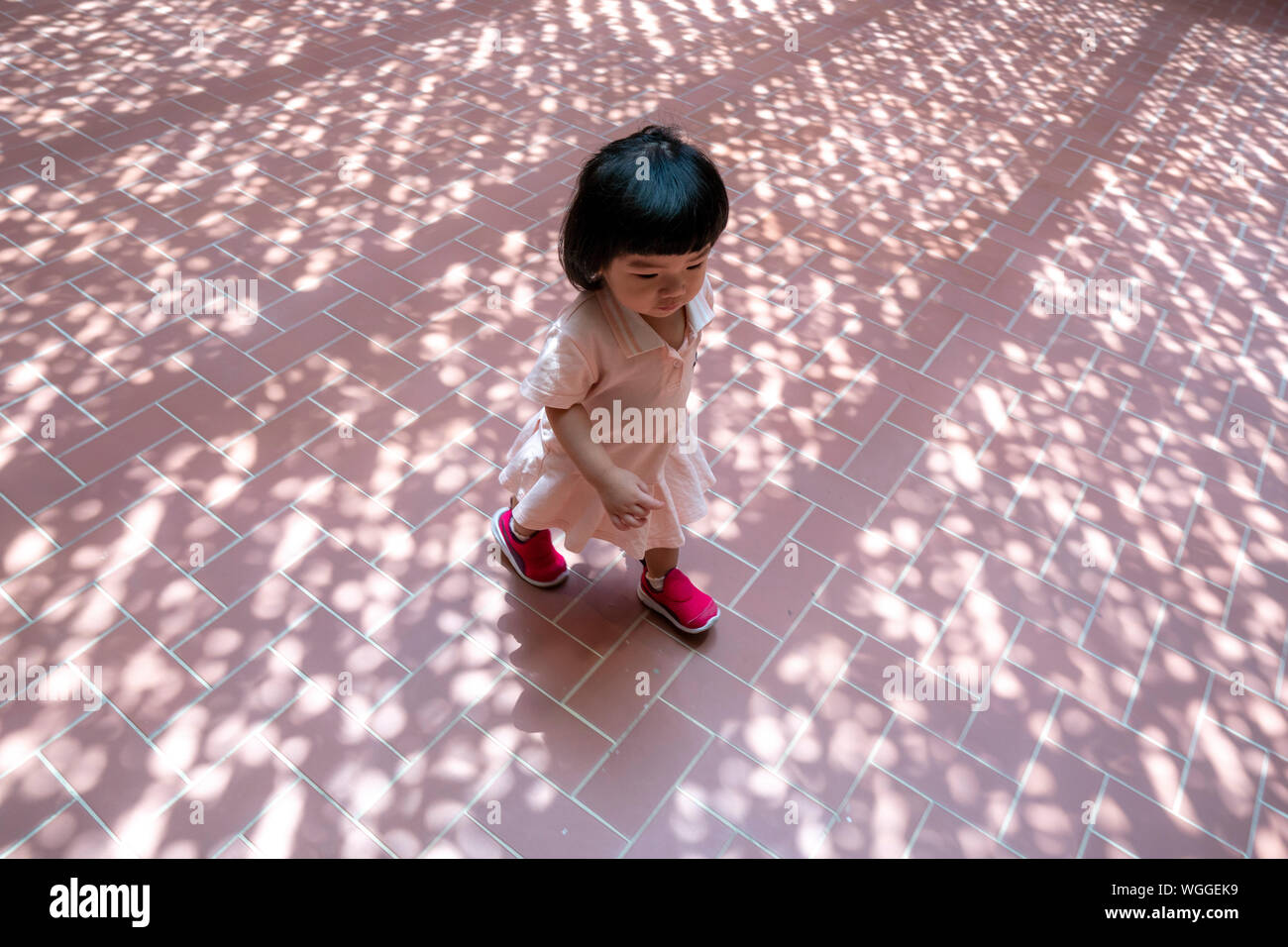 Beautiful cute Asian Baby Girl running playing on the shadow ground Stock Photo