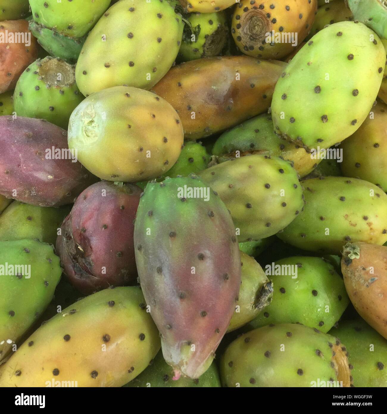 Tuna fruit hires stock photography and images Alamy