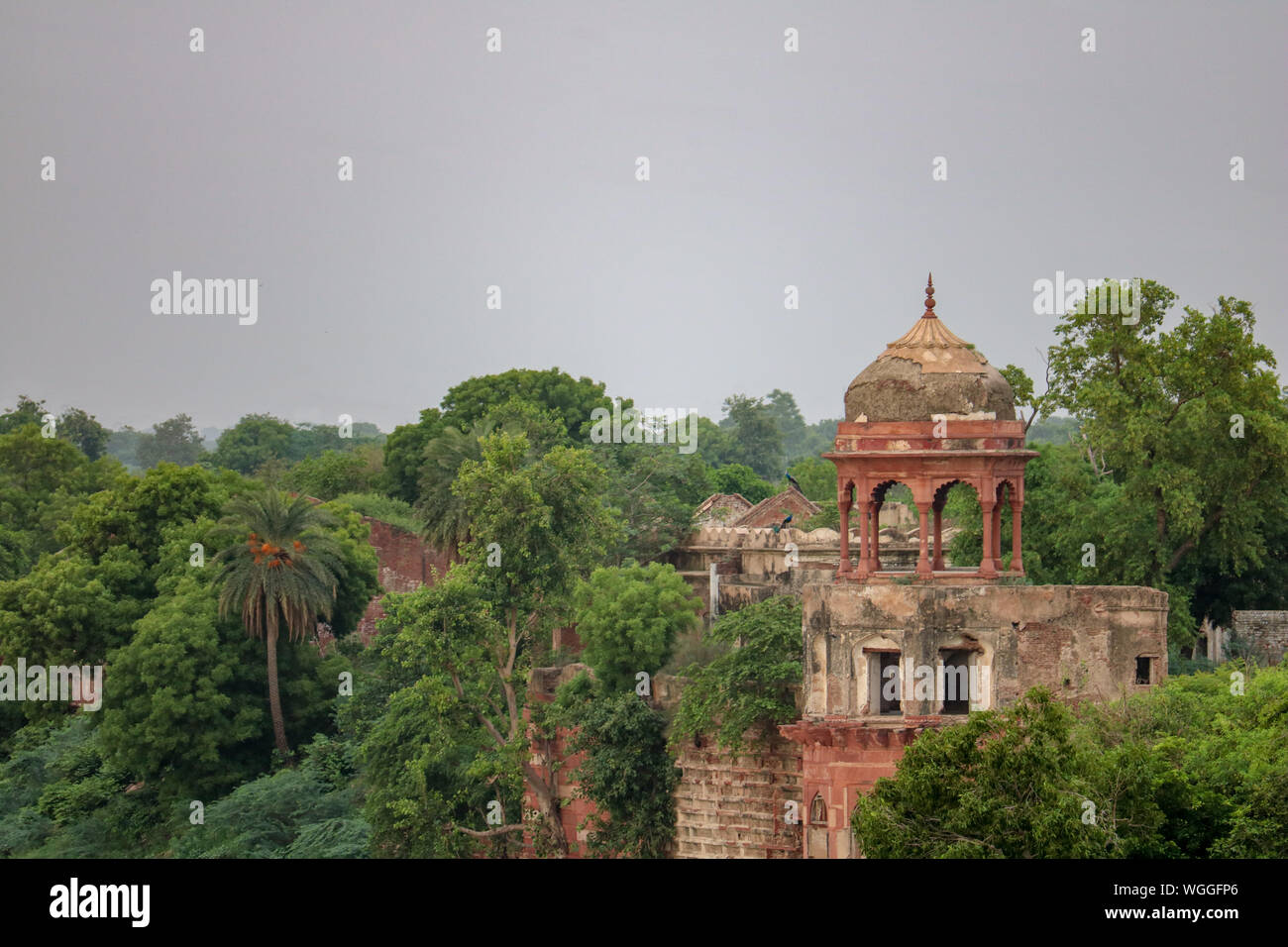Ruins on the banks of the Yamuna River near the Taj Mahal, Agra, Uttar Pradesh, India Stock Photo