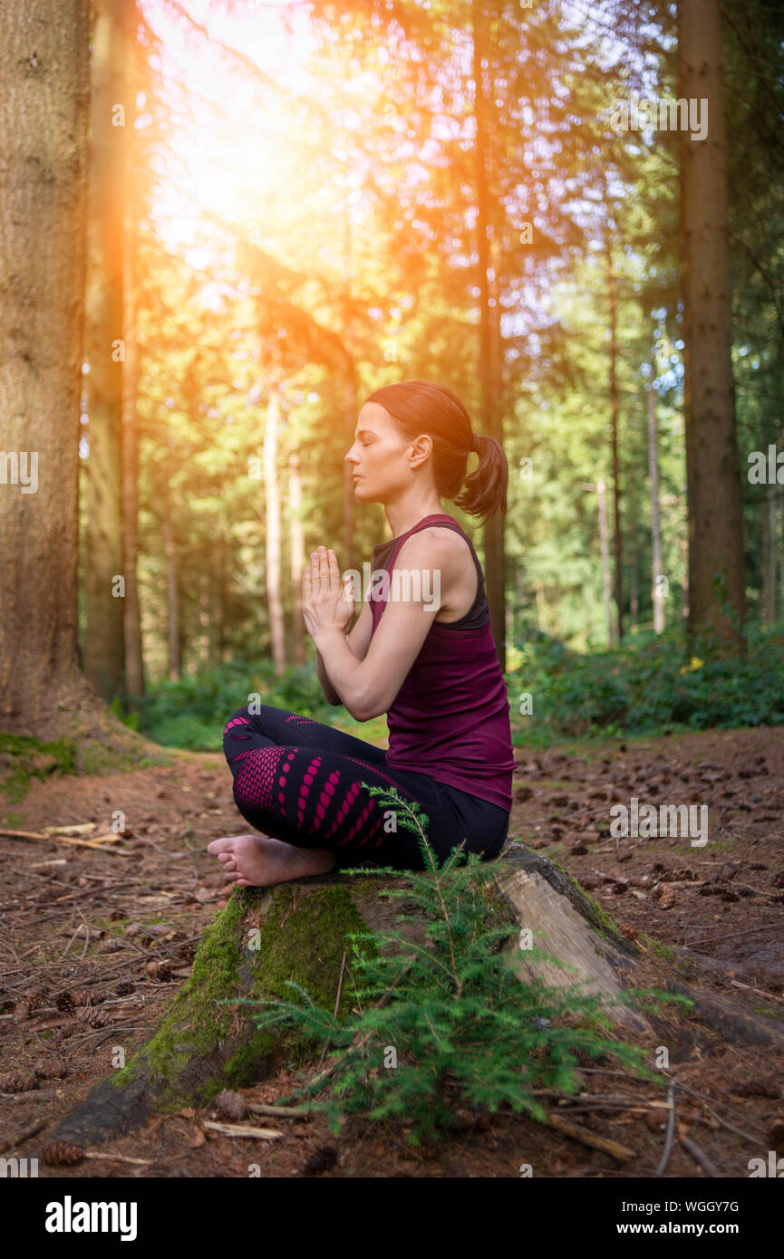 woman sitting on a tree stump in a forest meditating, practicing yoga ...