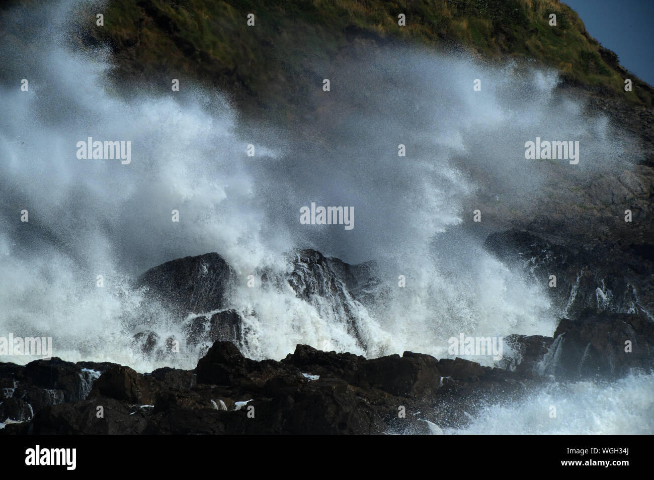 Large waves from storm surf smash into the cliffs sending spray high into the cliffs and vegetation Stock Photo