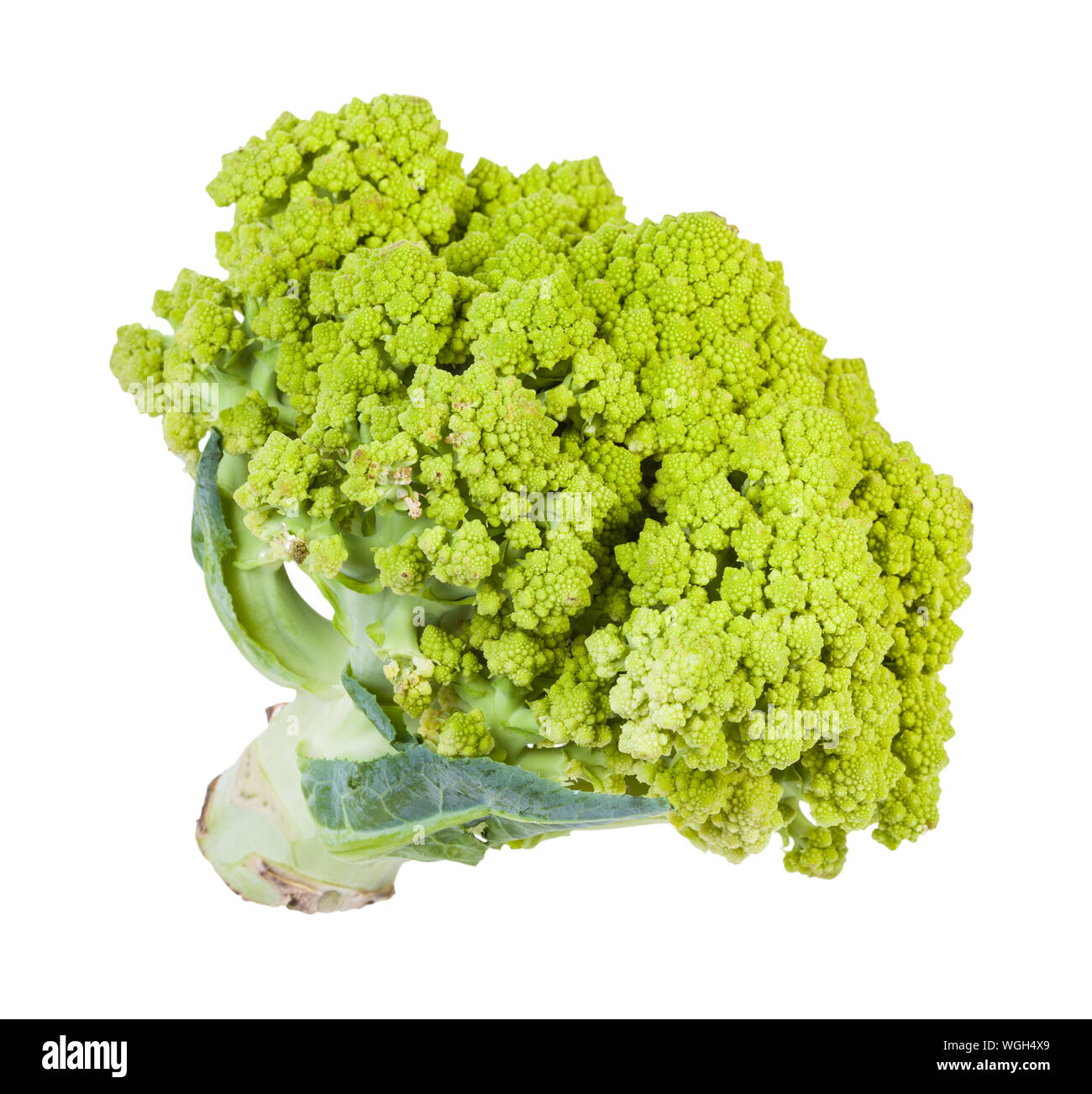 fresh romanesco broccoli isolated on white background Stock Photo