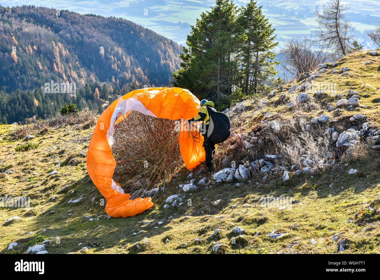 Man Removing Parachute Tangled In Bush On Mountain Stock Photo Alamy