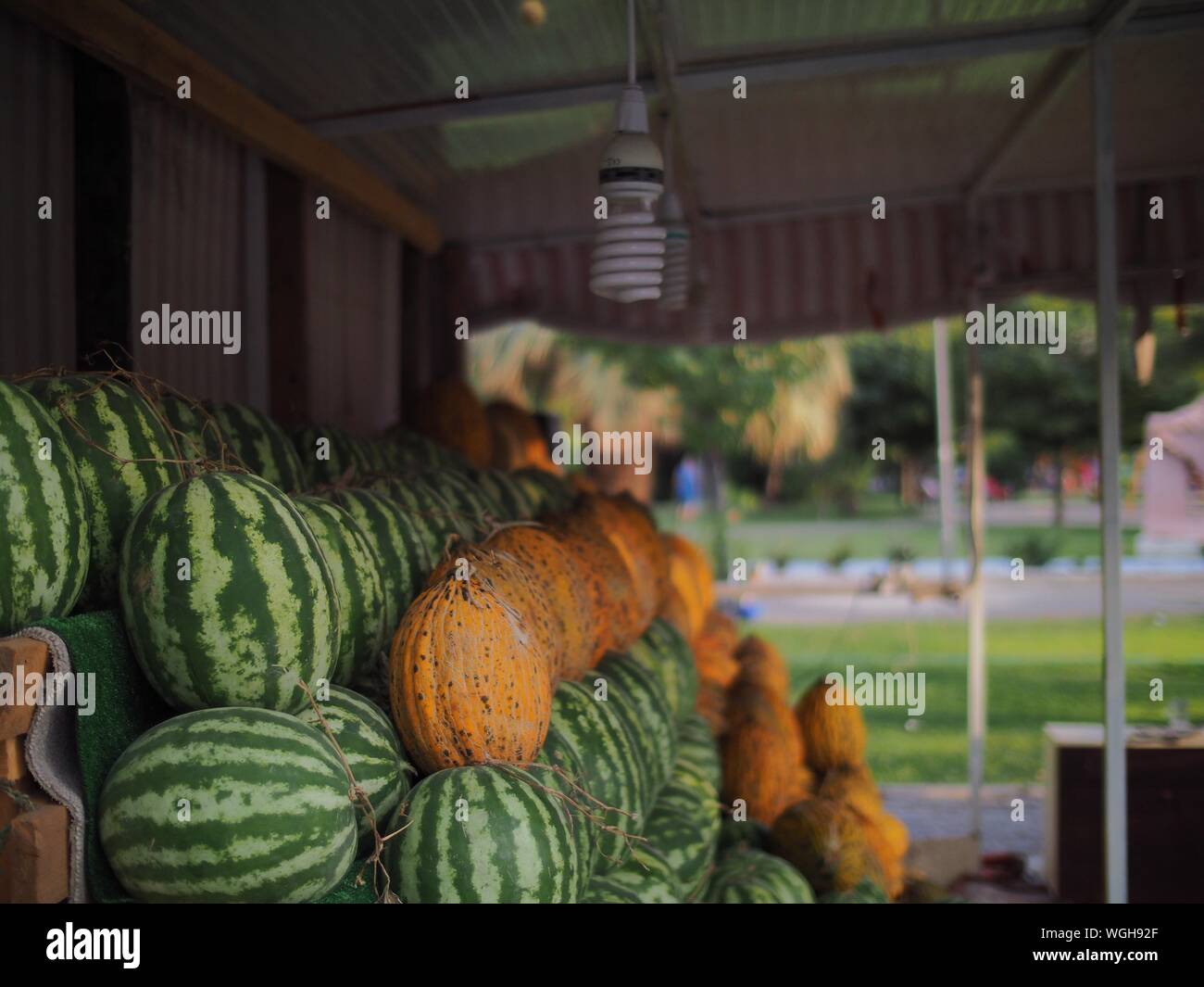 Watermelons on sale hires stock photography and images Alamy
