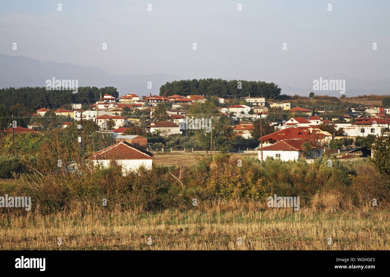 View of Pefkodasos. Administrative region Central Macedonia. Greece Stock Photo