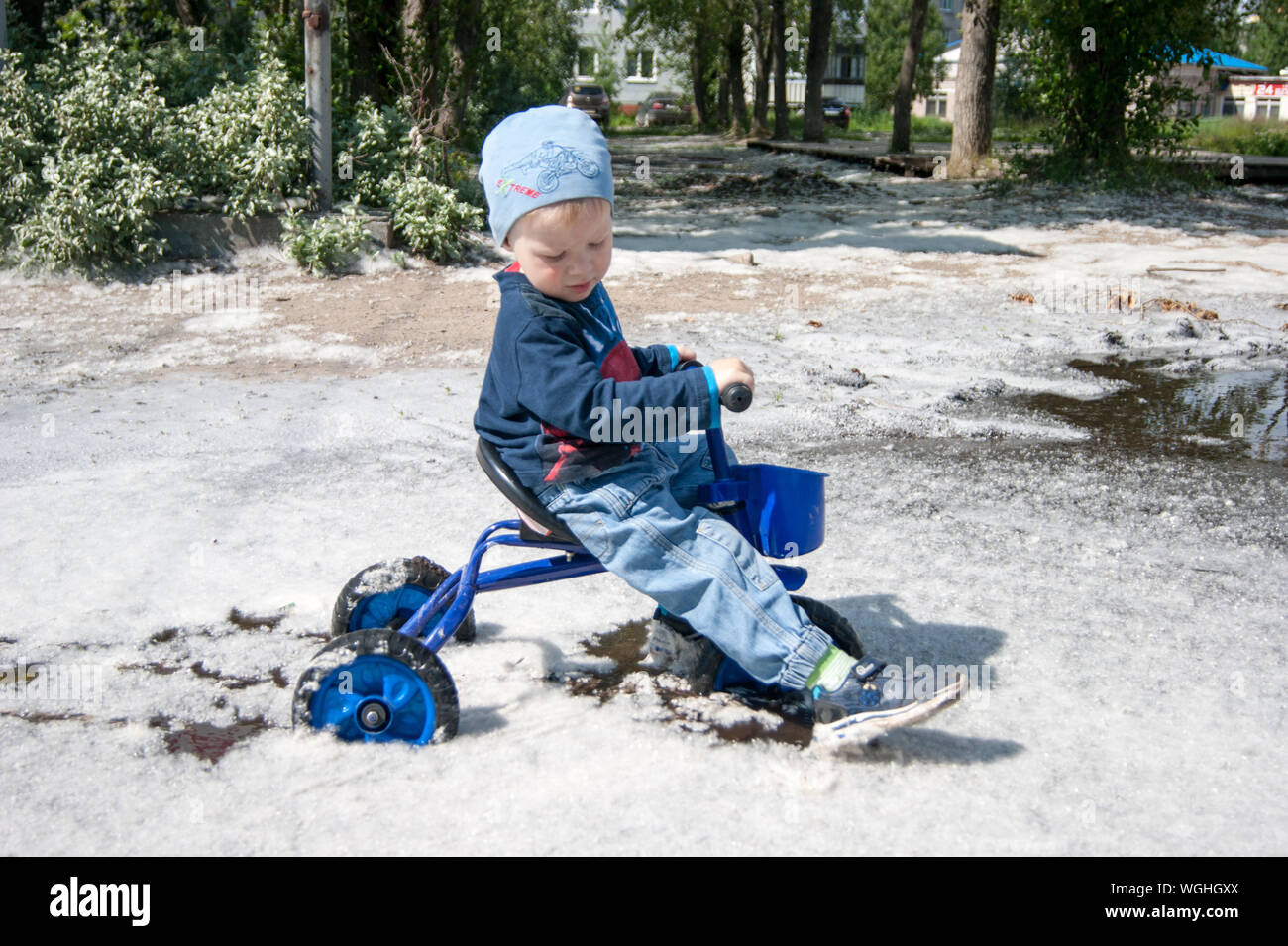 Russia, Novodvinsk - July 2019. A blond-haired boy in blue rides a small tricycle in a puddle completely covered with the old fluffy poplar fluff Stock Photo