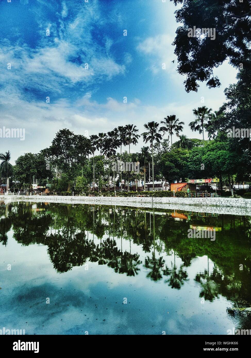 Palm trees pond hi-res stock photography and images - Alamy