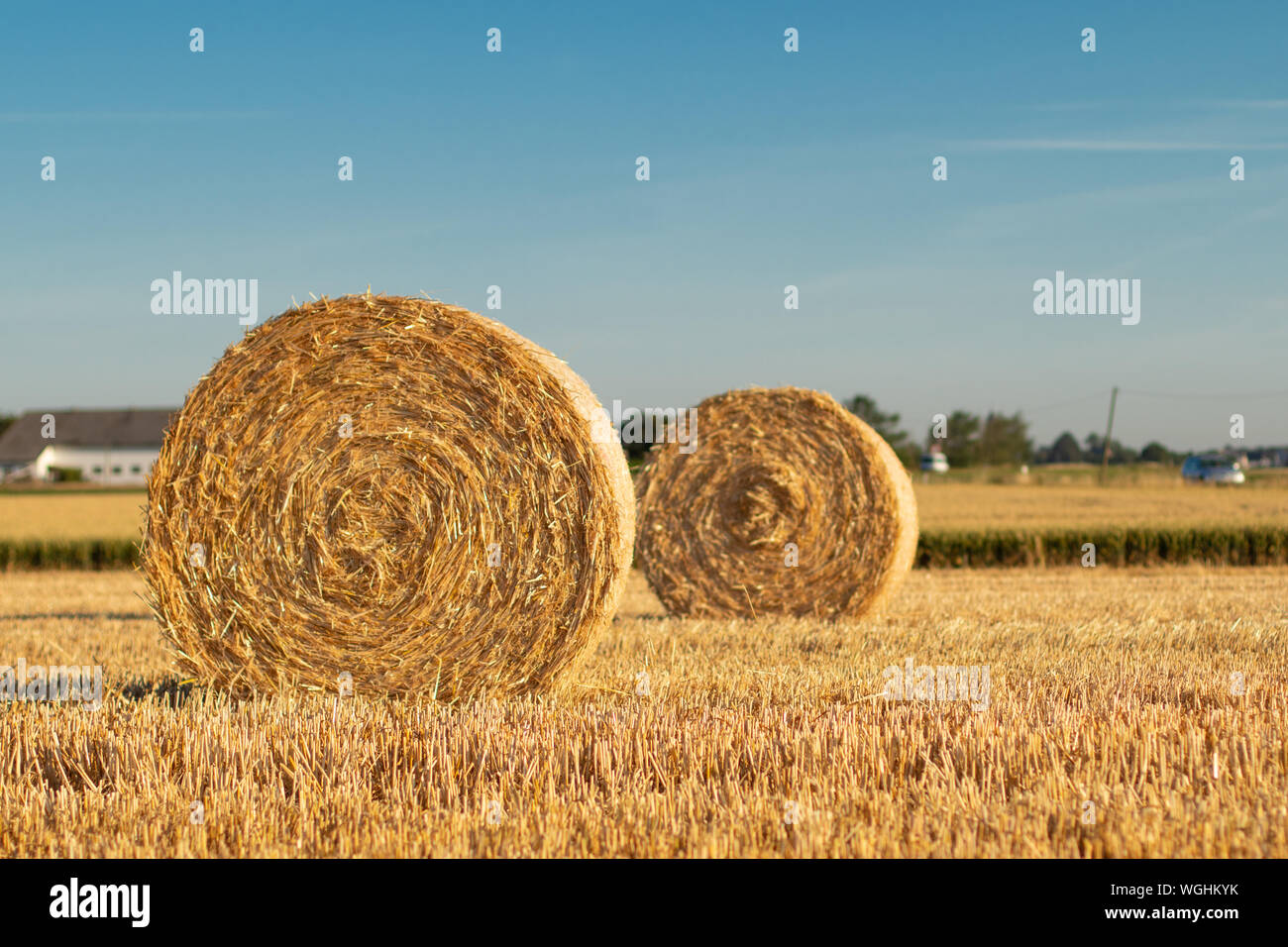 Bundle of hay hires stock photography and images Alamy