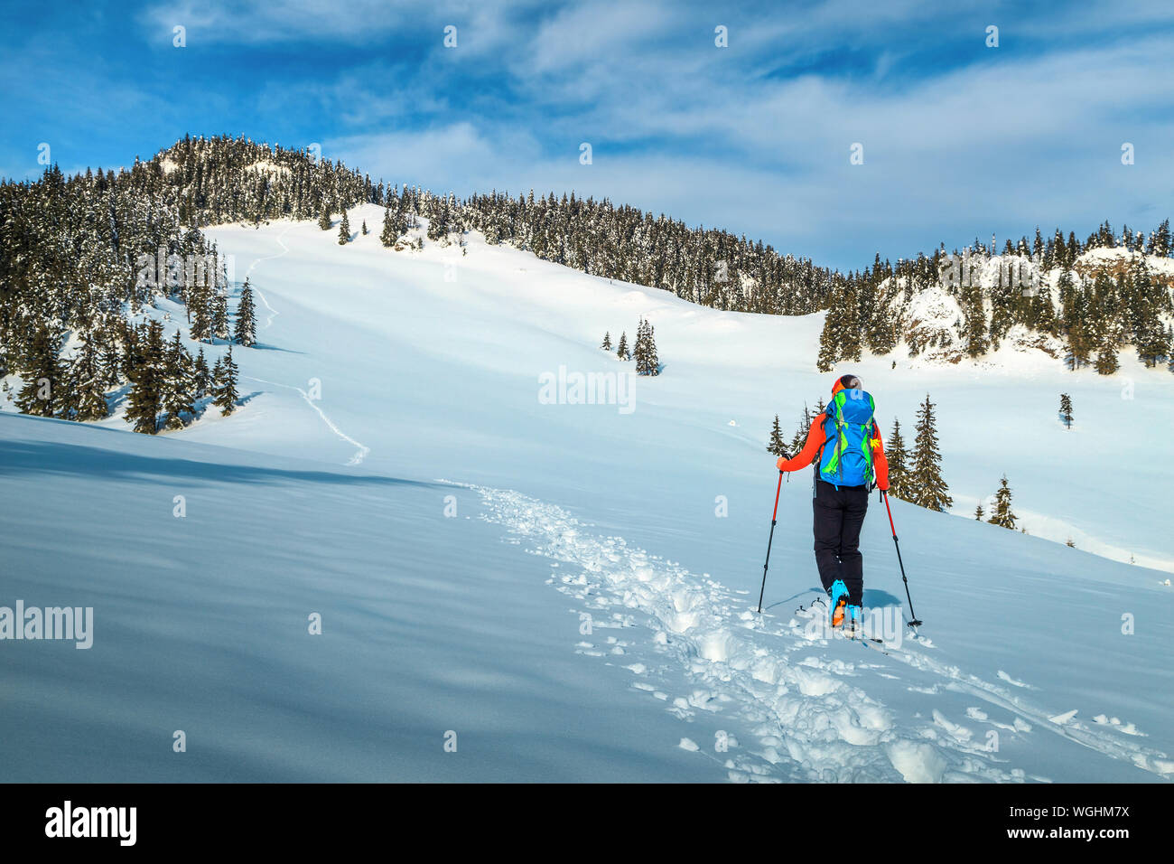 Active backpacker woman on fresh powder snow, ski touring on the snowy slopes. Backcountry skier with colorful backpack in the mountains, Carpathians, Stock Photo