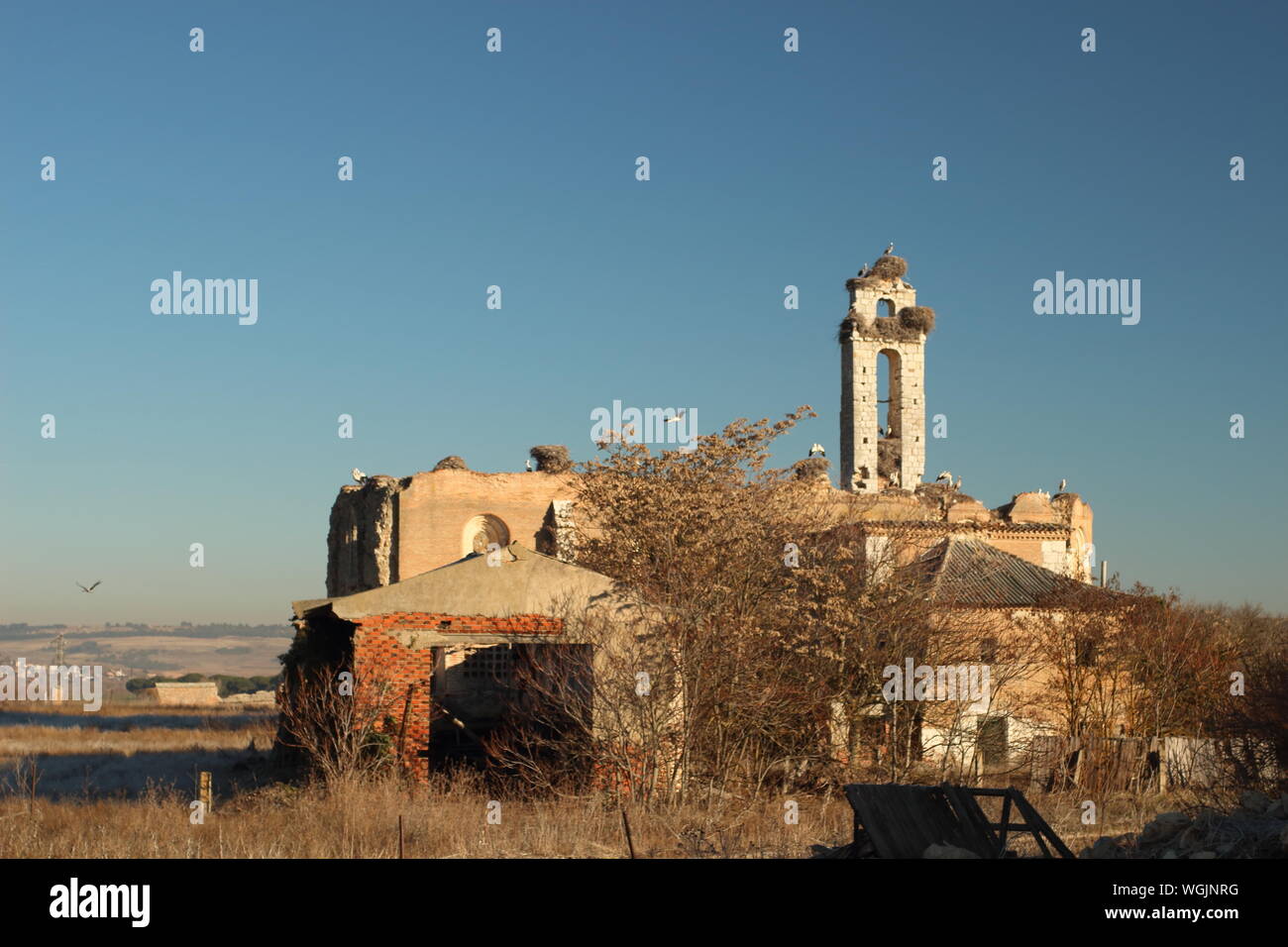 Cartuja de Aniago en Villanueva de Duero, Valladolid, Castilla y Leon, España Stock Photo