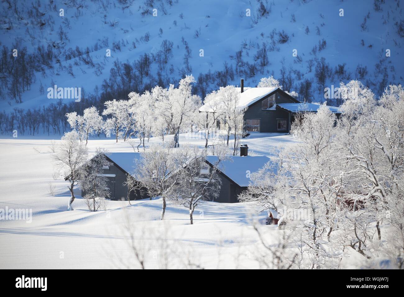 Norwegian cabin by lake in winter hires stock photography and images