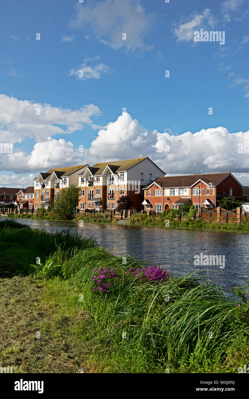 Thorne hi-res stock photography and images - Alamy