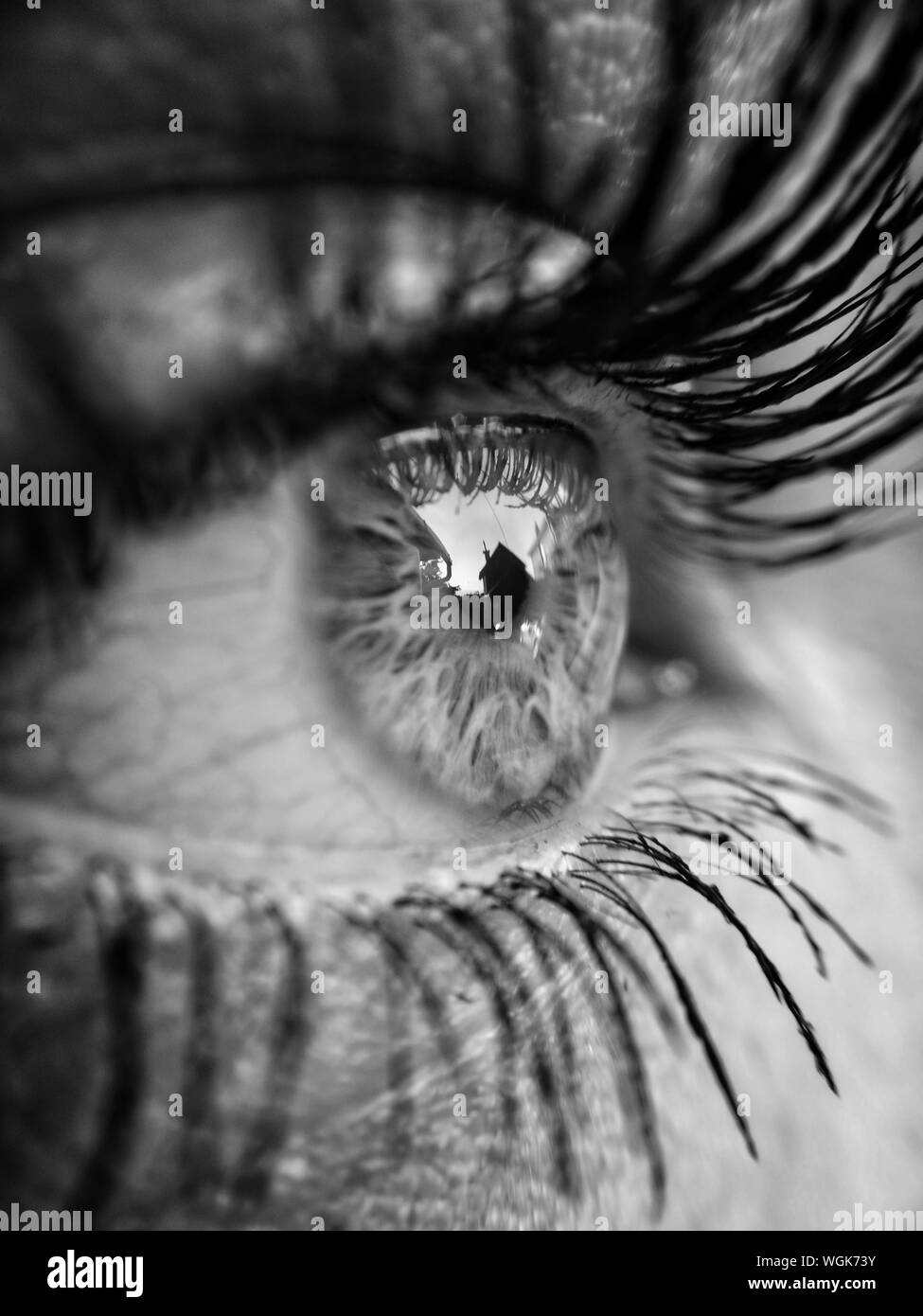 Close up eye hi-res stock photography and images - Alamy