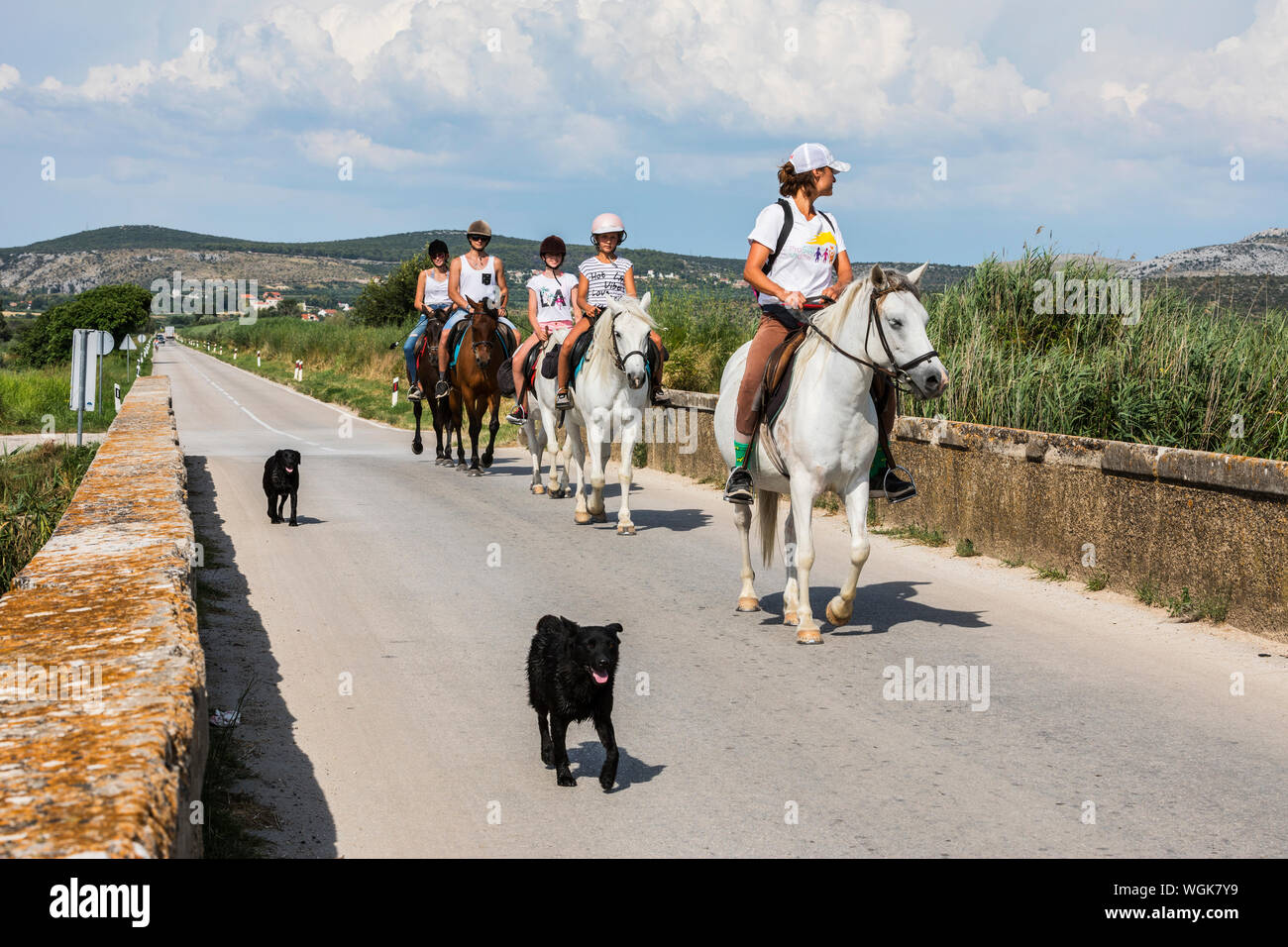 A group of tourists riding horses near Nature Park Lake Vrana in Croatia Stock Photo