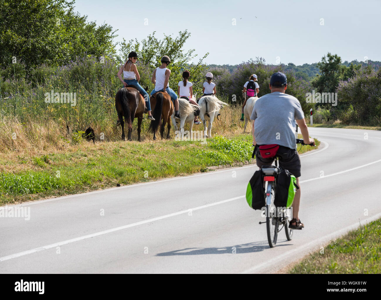 A group of tourists riding horses by the road near Nature Park Vransko lake in Croatia Stock Photo