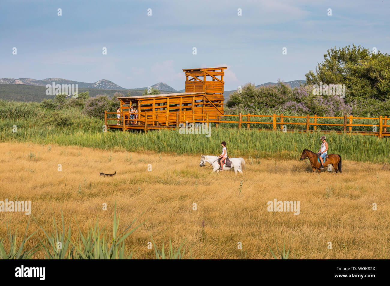 Tourists riding horses at Nature Park Lake Vrana in Croatia. Birdwatching wooden post on the back. Stock Photo