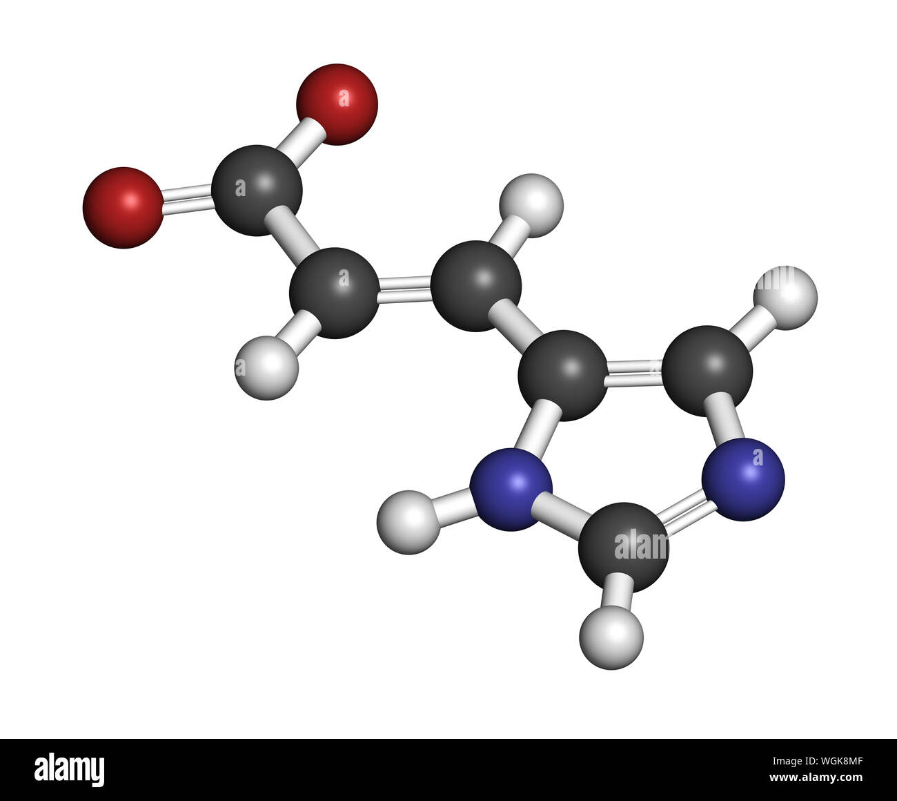 Urocanic acid molecule. Breakdown product of histidine. 3D rendering. Atoms  are represented as spheres with conventional color coding: hydrogen (white  Stock Photo - Alamy