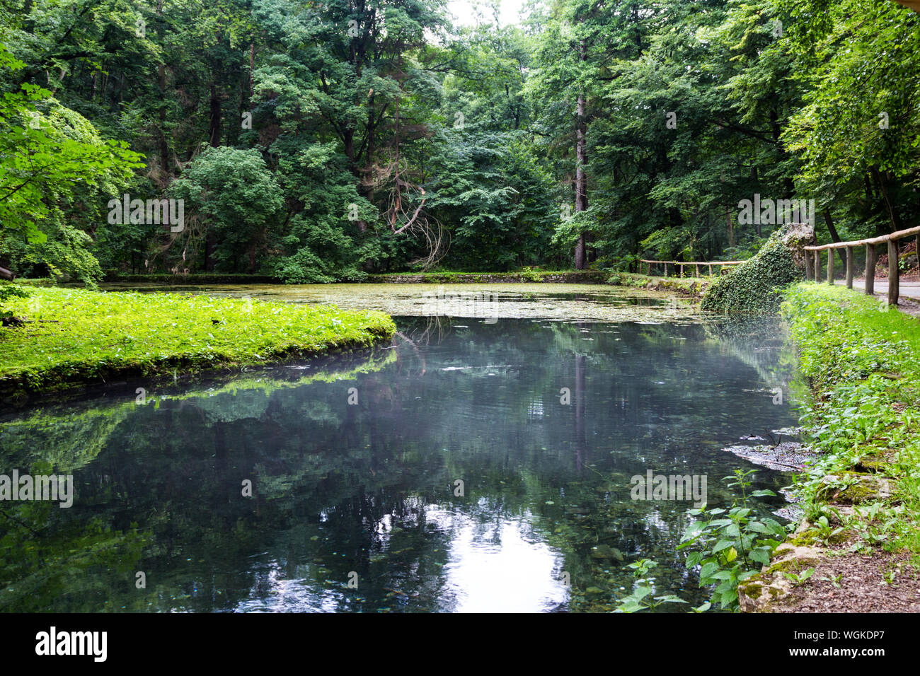 Trout farm pond lake in Szalajkavölgy Szalajka Valley, Hungary Stock Photo Alamy