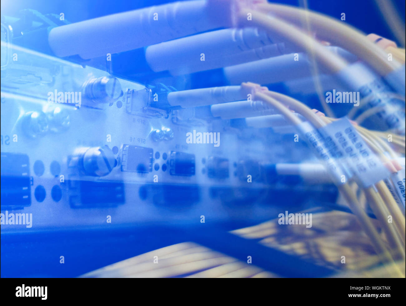 Close up fiber optic in server room , network cables installed in the ...