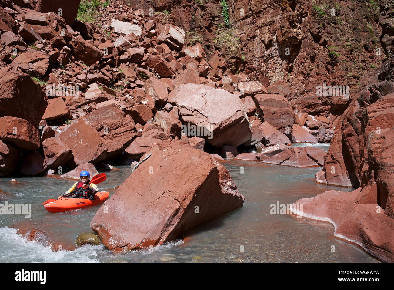 Middle-aged man kayaking between large red boulders on the Var River. Guillaumes, Daluis Gorge, Alpes-Maritimes, France. Stock Photo