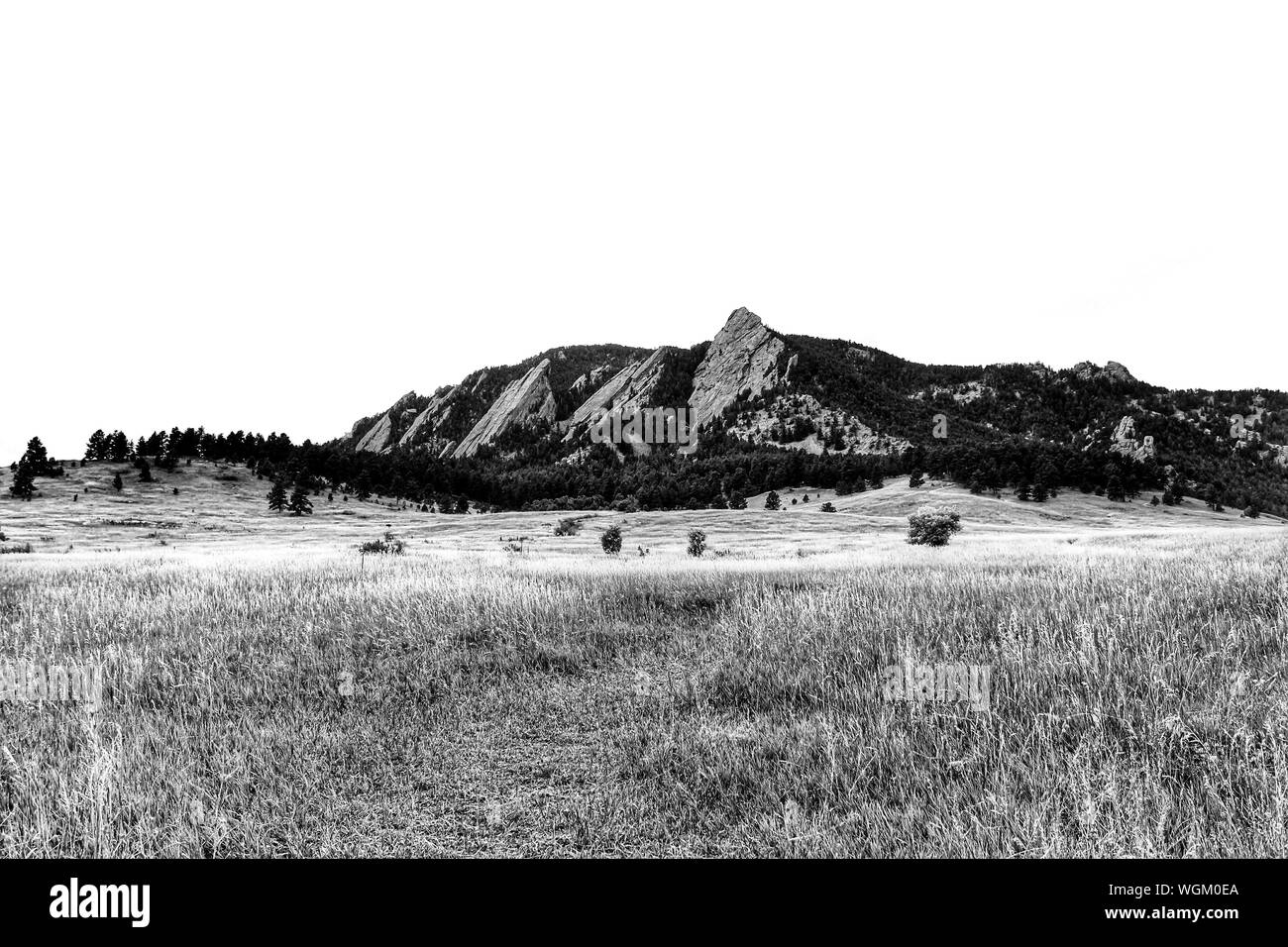 Grass Field Black And White Stock Photos & Images - Alamy