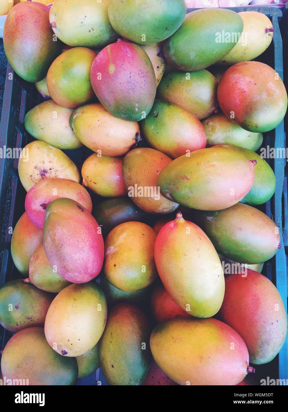 High Angle View Of Mangoes In Crate Stock Photo Alamy