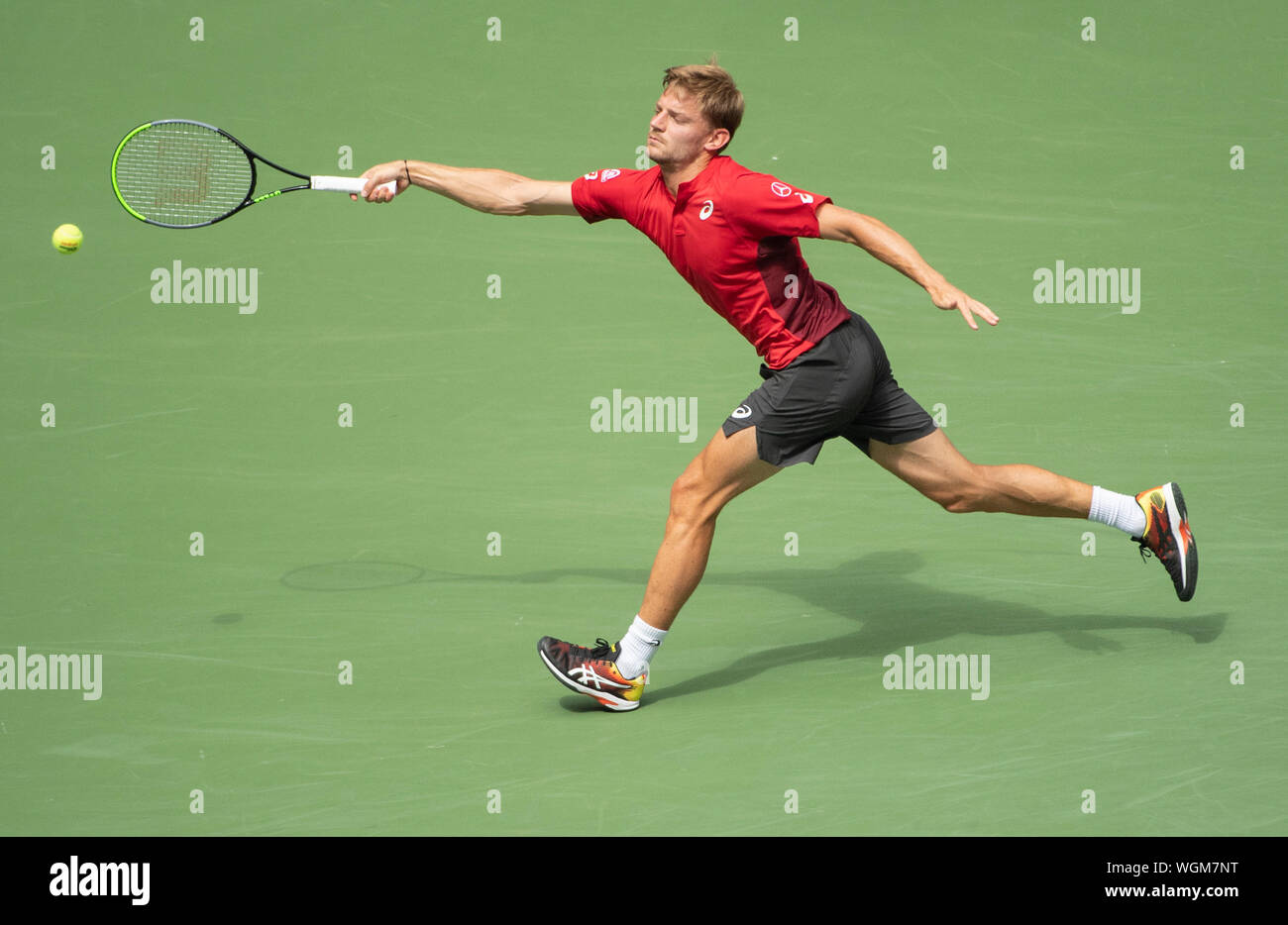 David goffin hi-res stock photography and images