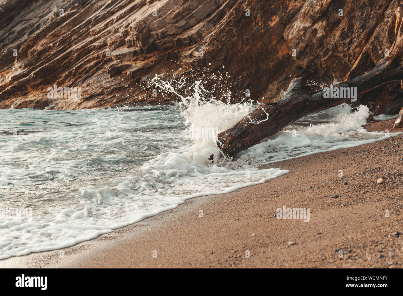 waves of ocean crashing against an old dead tree Stock Photo