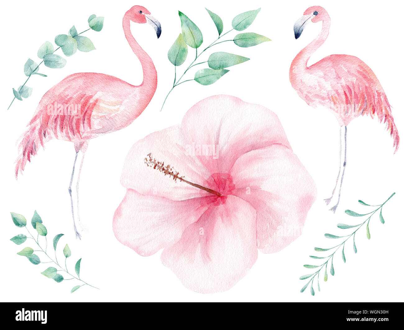 Tropical nature hand drawn watercolor raster illustration set. Flamingo and orchid flowerhead isolated cliparts. Hibiscus, twigs aquarelle drawing. Ju Stock Photo