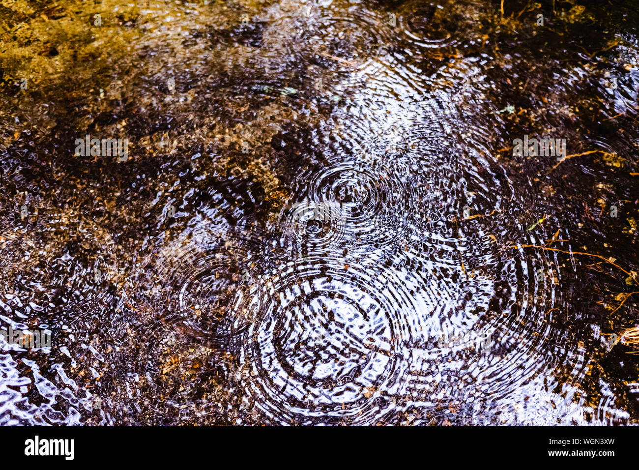 Raindrops falling on puddle hi-res stock photography and images - Alamy