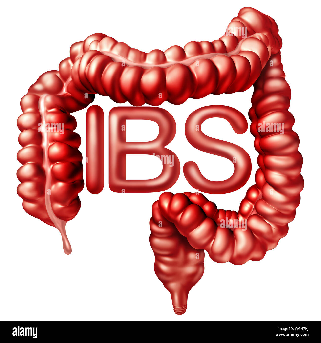 IBS medical concept as painful digestion or irritable bowel syndrome and intestine pain or Intestinal discomfort inflammation problem or constipation. Stock Photo