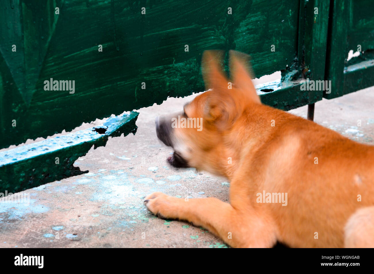 One broken fence hires stock photography and images Alamy