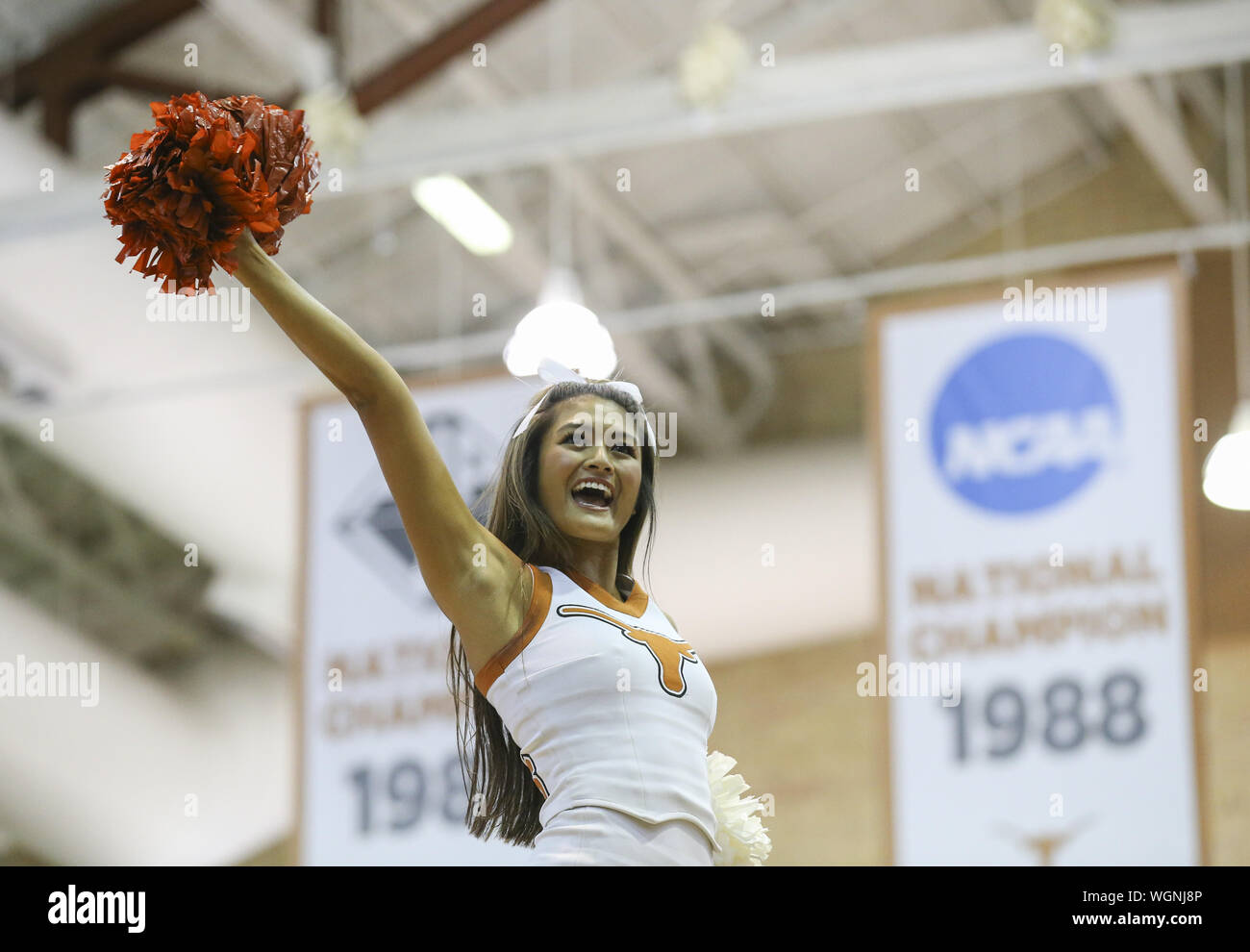 Austin, TX, USA. 1st Sep, 2019. A Texas Longhorns cheerleader during an NCAA volleyball match between the University of Texas and the University of Southern California at Gregory Gymnasium in Austin, Texas on September 1, 2019. Credit: Scott Coleman/ZUMA Wire/Alamy Live News Stock Photo