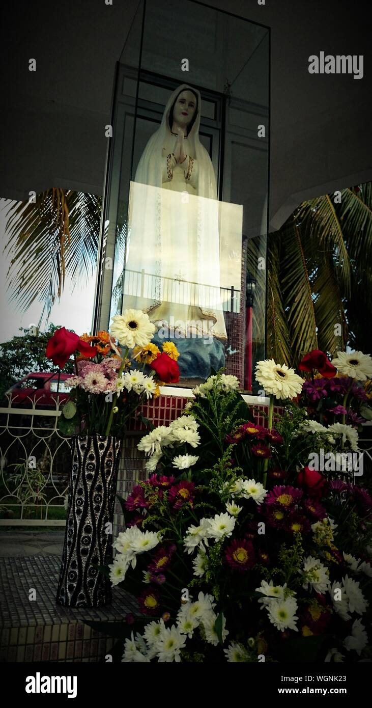 Mary of the flower hires stock photography and images Alamy