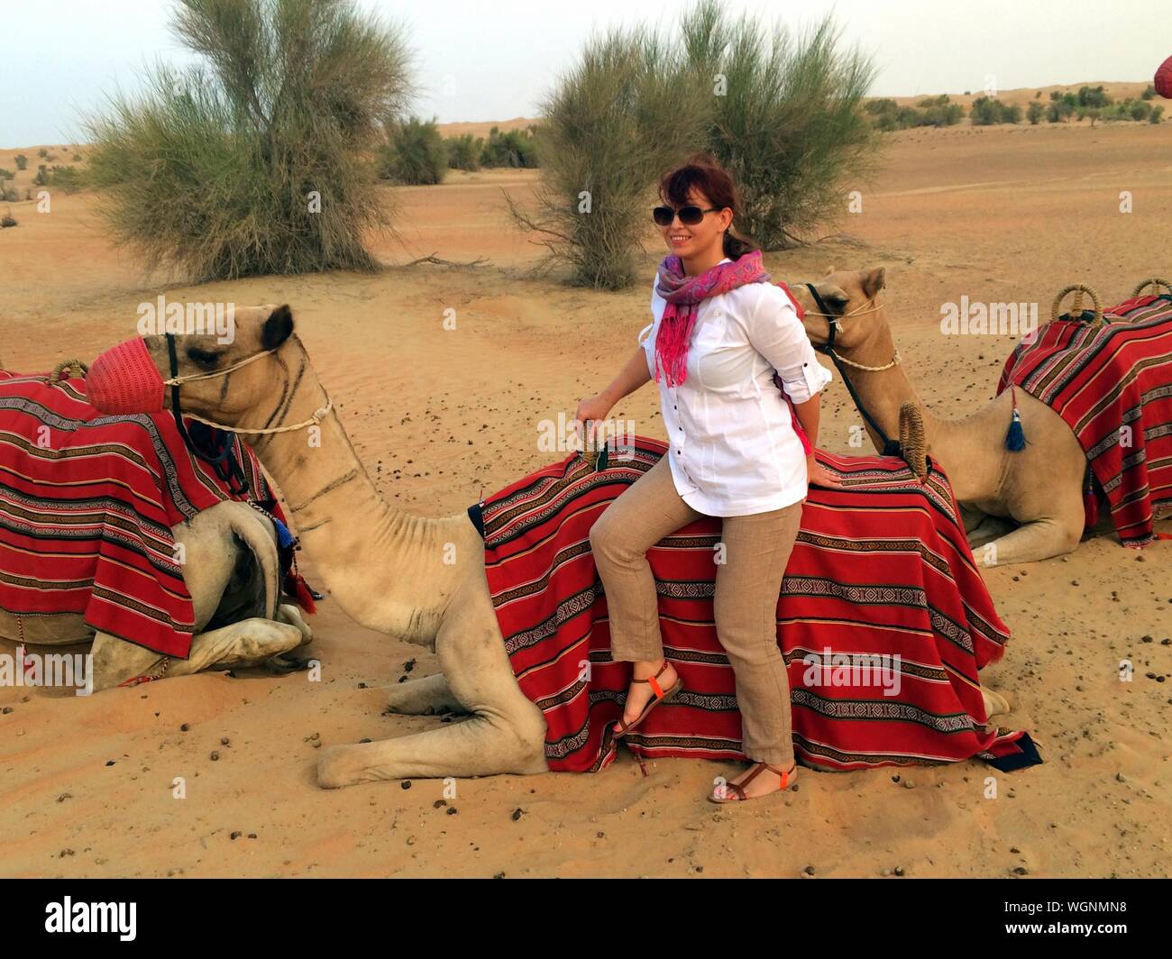 Woman Sitting On Camel In Desert High Resolution Stock Photography And Images Alamy