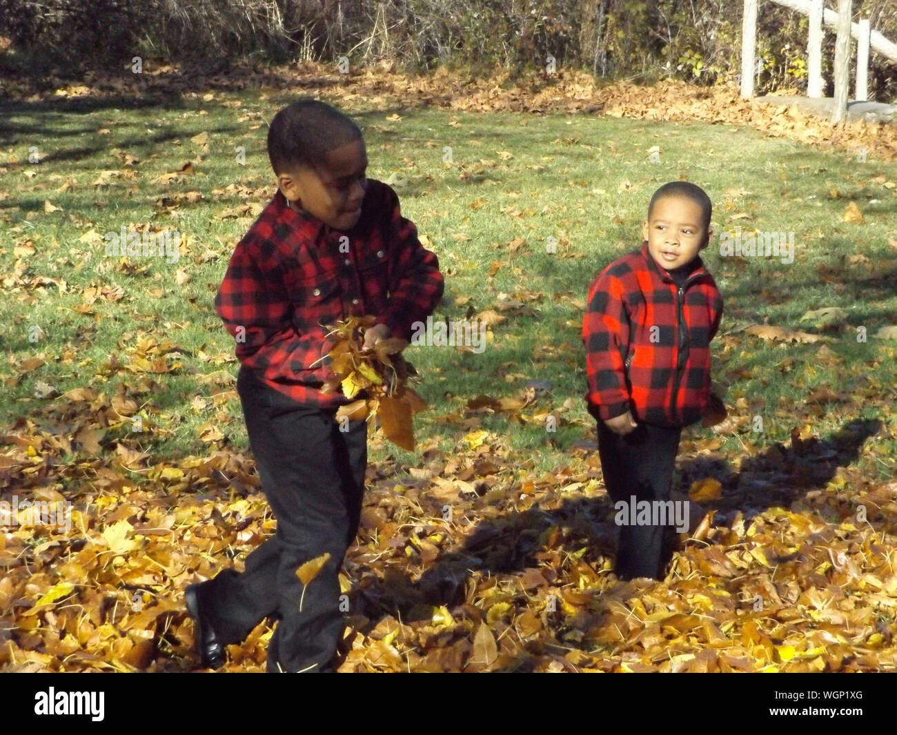 Brothers On Fallen Autumn Leaves At Park Stock Photo