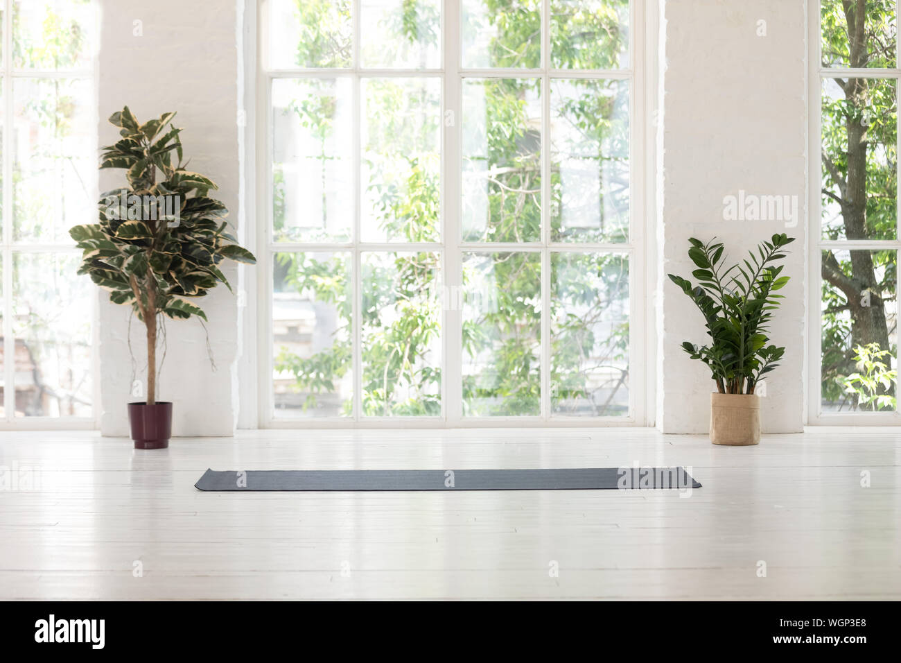 Yoga studio interior with windows, plants and unrolled mat Stock Photo